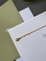 اسورة فان كليف