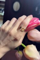 خاتم رفيق الروح