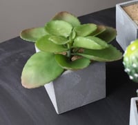 فازة مع شجر صناعي