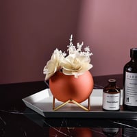 فازة نباتات صغيرة