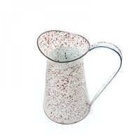 وعاء نبات حديد