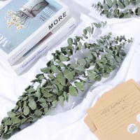 ورد طبيعي مجفف