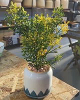 ورد صناعي مع فازة