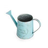 وعاء نبات حديد