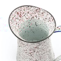 وعاء نبات حديد