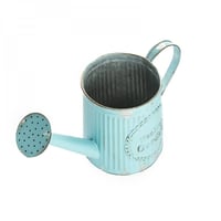 وعاء نبات حديد