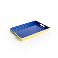 صينية بلاستيك