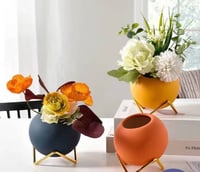 فازة نباتات صغيرة