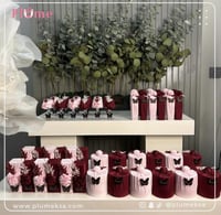 بكج بلوم ( 17 ) 48 حبة مع اللوقو