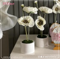 فازه ورد لطاولات الضيافة