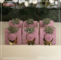 بكج بلوم (٢١ ) ٢٤ حبة مع اللوقو