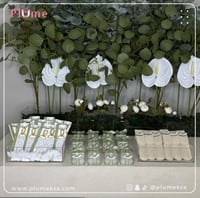 بكج بلوم (٣٠) التوفيري ٣٦ حبة حجم ميني