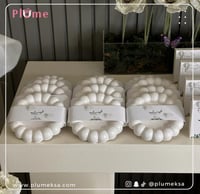 ١٢حبات كوستر مع الثيم