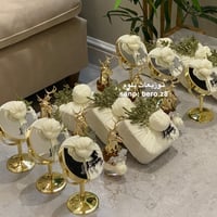 بكج بلوم ( 10 ) يحتوي على 18حبة