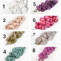 تعليقة باب باسم المولود