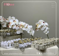 بكج بلوم (٢٦) ١٤٤ حبة ٦ صواني مناسب للأفراح مع الص...