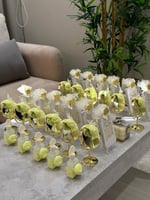 بكج بلوم (9) 24 حبة كل نوع 6حبات