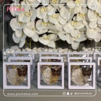 12حبات ميدالية ريزن مع اللوقو