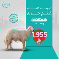 ذبيحه حري كامله (متوسط)