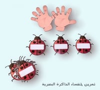 صندوق معلمة رياض الأطفال -1-