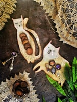 دورة ريزن المدربة ريان كاملة