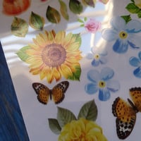 ورق استكر شفاف ورد منوع معظم المقاسات لقالب 5 سم و...