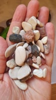 أحجار حجر و حصى بحري منوع الشكل و اللون و الحجم وز...