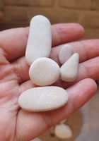 أحجار حجر و حصى بحري منوع الشكل و اللون و الحجم وز...