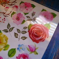 ورق استكر شفاف ورد منوع معظم المقاسات لقالب 5 سم و...