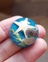 ورق شجر أخضر للبحر مجفف للريزن علبة ن