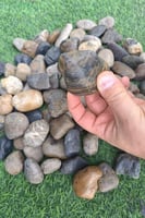 حجر زينة ملون مكس مطفي كبير 10 كيلو