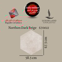 سيراميك نورثون دارك بيج | 58.5*67.5 | 670022