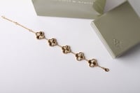 اساور فان كليف بجميع الالون