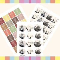 تاقات او استكر - يوم التأسيس