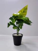 Artificial Croton Desk Decor ديكور مكتب كروتون صنا...