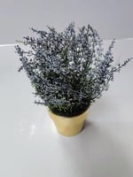 Desk Decor: Gold Potted Blue-Grey Heather Plant دي...