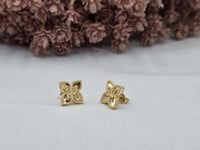 حلق روبرتو كوين