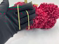 اسوارة فلات