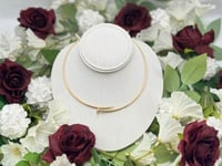 طوق كارتير مسمار