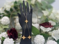 كف روبرتو كوين