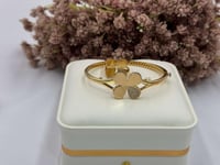 اسواره أنيقة