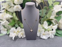 عقد روبرتو كوين