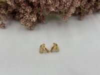 حلق فان كليف