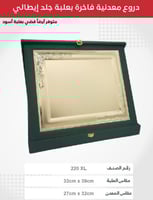 درع معدني فاخر بعلبة جلد ايطالي