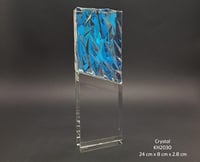 درع كريستال رأس ملون