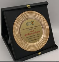 درع صحن فايبر بعلبة جلدية