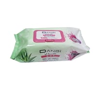 داندي دوكس | كرتون مناديل مبللة للاطفال | مضاد للب...