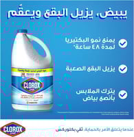 كلوركس | علبة منظف متعدد الاستخدام | الأصلي | 1 جا...