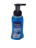 وندرفل | كرتون رغوة لغسيل اليدين | أزرق | بلو ليلي...