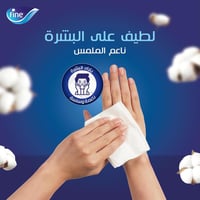فاين سمايل | كرتون فاين | طبقتان | 5 شدات × 10 علب...